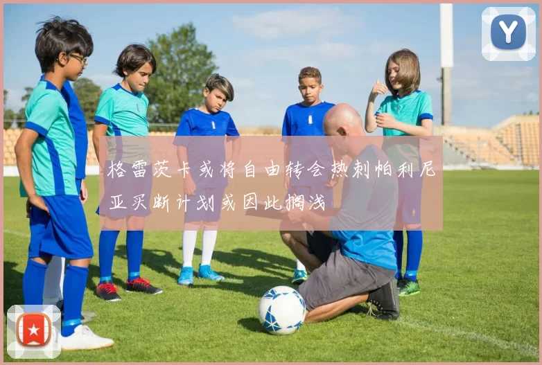 格雷茨卡或将自由转会热刺帕利尼亚买断计划或因此搁浅