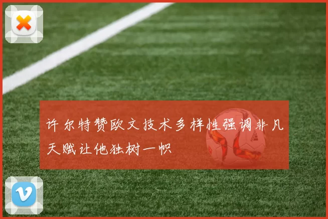 许尔特赞欧文技术多样性强调非凡天赋让他独树一帜