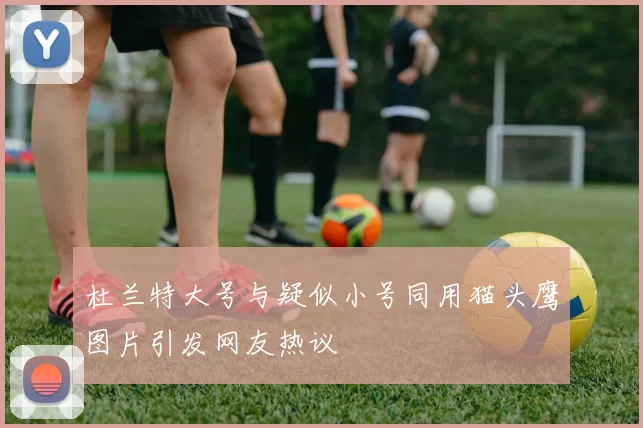 杜兰特大号与疑似小号同用猫头鹰图片引发网友热议