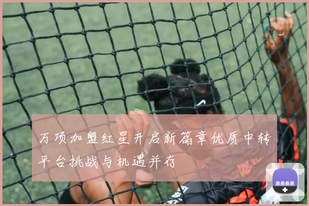 万项加盟红星开启新篇章优质中转平台挑战与机遇并存