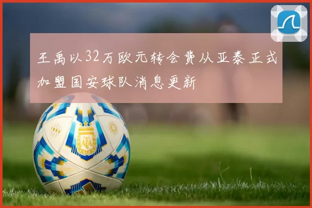 王禹以32万欧元转会费从亚泰正式加盟国安球队消息更新